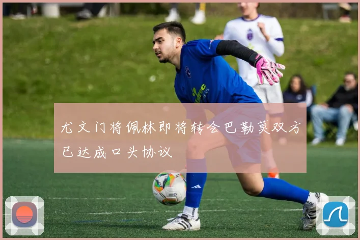 尤文门将佩林即将转会巴勒莫双方已达成口头协议